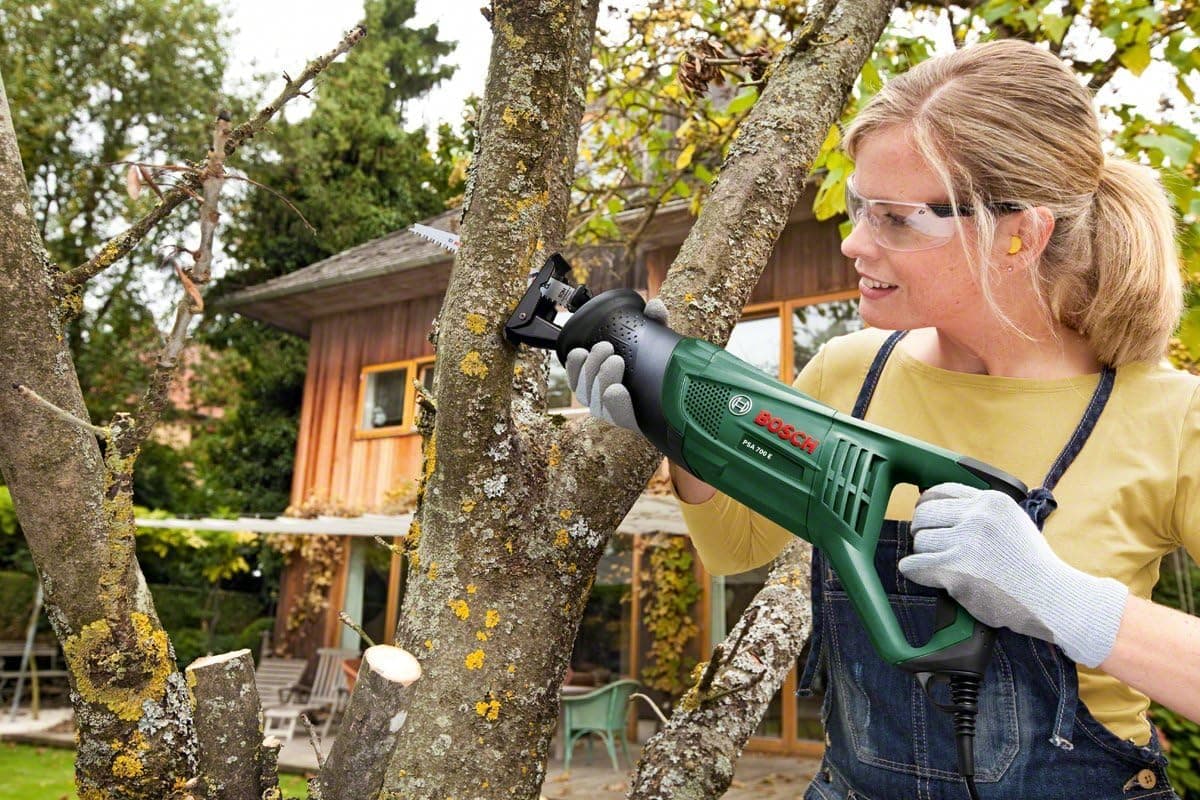 Bosch Home and Garden PSA 700 E Reseña - Seleccionar imagen 2
